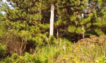 Imagem 4: Terreno Comercial de 1 hectare na Avenida das Hortênsias!