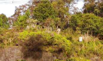 Imagem 6: Terreno Comercial de 1 hectare na Avenida das Hortênsias!