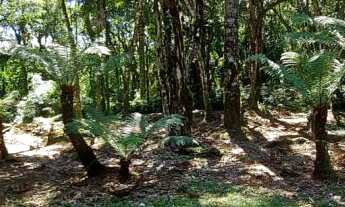 Imagem 4: Terreno localizado no Condomínio O Bosque!