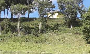 Imagem 6: LINDO SITIO COM VISTA PANORÂMICA DE NOVA PETRÓPOLIS