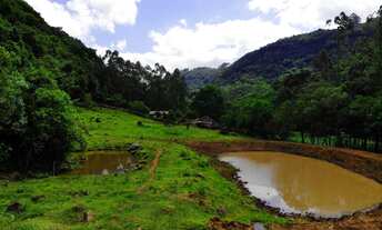 Imagem 3: LINDO SÍTIO COM ARROIO EM FRENTE E EXCELENTES ÁREAS PLANAS!