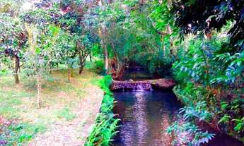 Imagem: SITIO DOS SONHOS EM PRESIDENTE LUCENA!