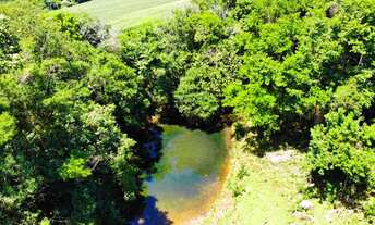 Imagem: LINDO SITIO A 800 METROS DO ASFALTO E APENAS