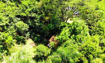 Imagem 2: LINDO SITIO A 800 METROS DO ASFALTO E APENAS 5,2 KM DA PRAÇA DAS FLORES!