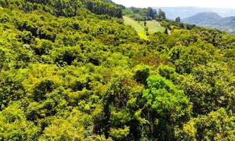 Imagem 4: LINDO SITIO A 800 METROS DO ASFALTO E APENAS 5,2 KM DA PRAÇA DAS FLORES!