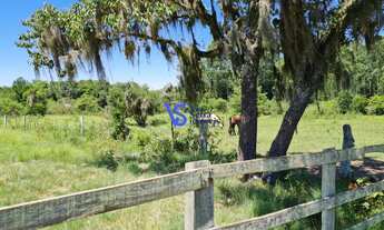 Imagem 2: Sítio em Taquara/RS!