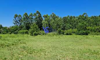 Imagem 7: Sítio em Taquara/RS!