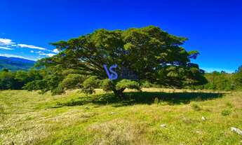 Imagem: Sítio em Três Coroas/RS!