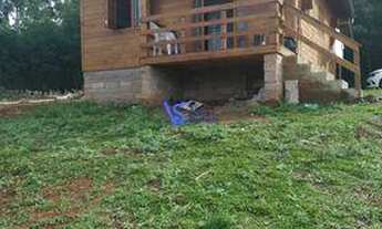 Imagem: Sítio em Canela/RS!