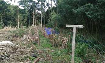 Imagem 6: Sítio em Canela/RS!