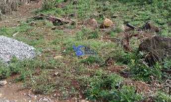 Imagem 7: Sítio em Canela/RS!