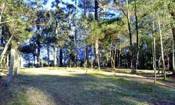 Imagem: Terreno São Francisco de Paula/RS!