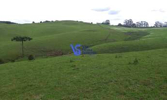 Imagem 2: Sítio em São Francisco de Paula/RS!