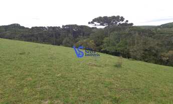 Imagem 3: Sítio em São Francisco de Paula/RS!