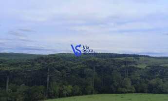 Imagem 4: Sítio em São Francisco de Paula/RS!