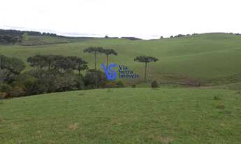 Imagem: Sítio em São Francisco de Paula/RS!