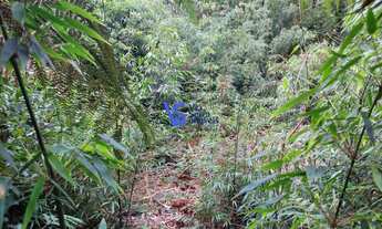 Imagem: Terreno em São Francisco de Paula/RS!
