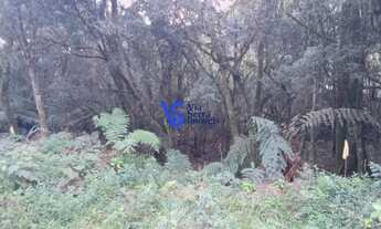 Imagem: Terreno em São Francisco de Paula