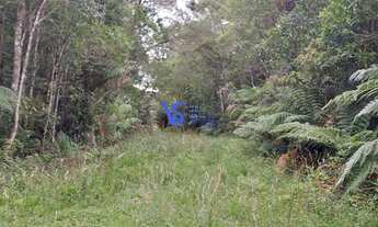 Imagem: Terreno em São Francisco de Paula
