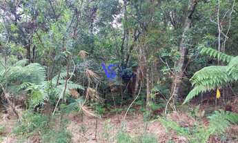 Imagem: Terreno em São Francisco de Paula