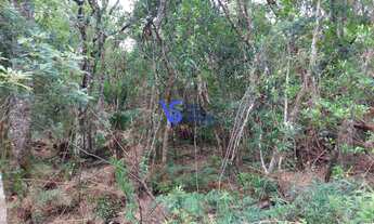 Imagem 5: Terreno em São Francisco de Paula