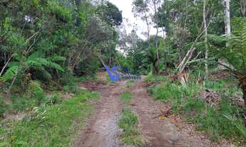 Imagem 6: Terreno em São Francisco de Paula