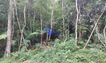 Imagem: Terreno em São Francisco de Paula/RS!