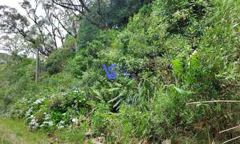 Imagem: Terreno em São Francisco de Paula/RS!