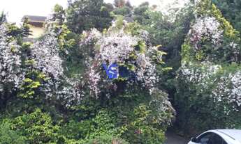 Imagem 4: Casa em Canela Casa com 4 dormitórios