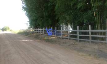 Imagem: Sítio em Sapiranga/RS!