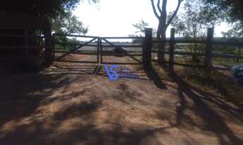 Imagem 3: Sítio em Sapiranga/RS!