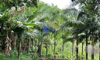 Imagem: Sítio à venda em Igrejinha/RS!