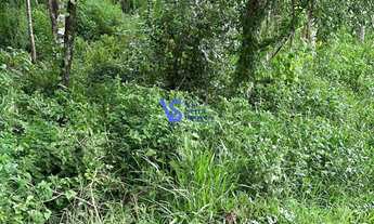 Imagem 2: Área de terra em Três Coroas/RS!