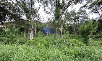 Imagem 3: Área de terra em Três Coroas/RS!