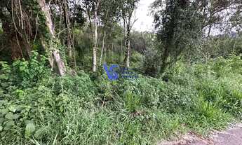 Imagem 5: Área de terra em Três Coroas/RS!