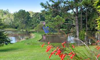 Imagem 2: Área de 33 hectares, 16 km de Gramado!