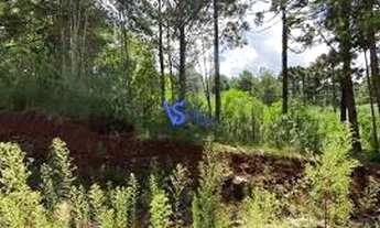 Imagem: Terreno no Bairro Dutra, em Gramado/RS!