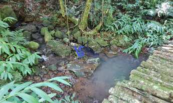 Imagem: Sítio na Canastra Alta, em Três Coroas/RS!