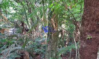Imagem: Terreno no Alpes de São Francisco, em São