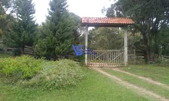 Imagem 3: Sítio em São Francisco de Paula/RS