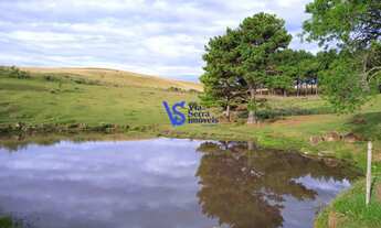 Imagem: Sítio em São Francisco de Paula/RS