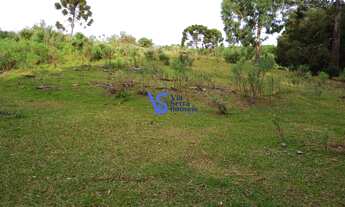 Imagem 7: Sítio em São Francisco de Paula/RS