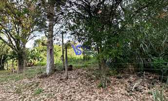 Imagem: Sitio em Linha Café Alta/ Três Coroas!