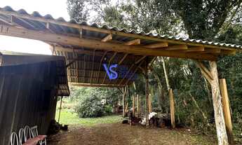 Imagem 2: Sitio em Linha Café Alta/ Três Coroas!