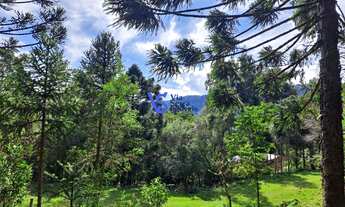 Imagem: Sítio na Carapina, em São Francisco de