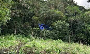 Imagem 3: Terrenos à venda no bairro Figueira, em Igrejinha!