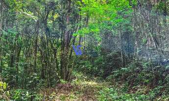 Imagem: Sítio na Linha Bonita a menos de 10 min