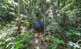 Imagem 5: Sítio na Linha Bonita a menos de 10 min do centro de Gramado/RS!
