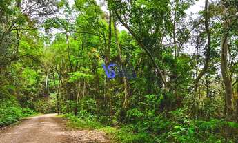 Imagem 6: Sítio na Linha Bonita a menos de 10 min do centro de Gramado/RS!