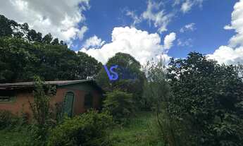 Imagem: Sítio em Santa Maria do Herval/RS!